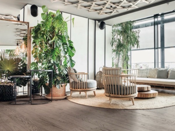 Soggiorno con pavimento in legno naturale Mafi, dal catalogo Biophilic