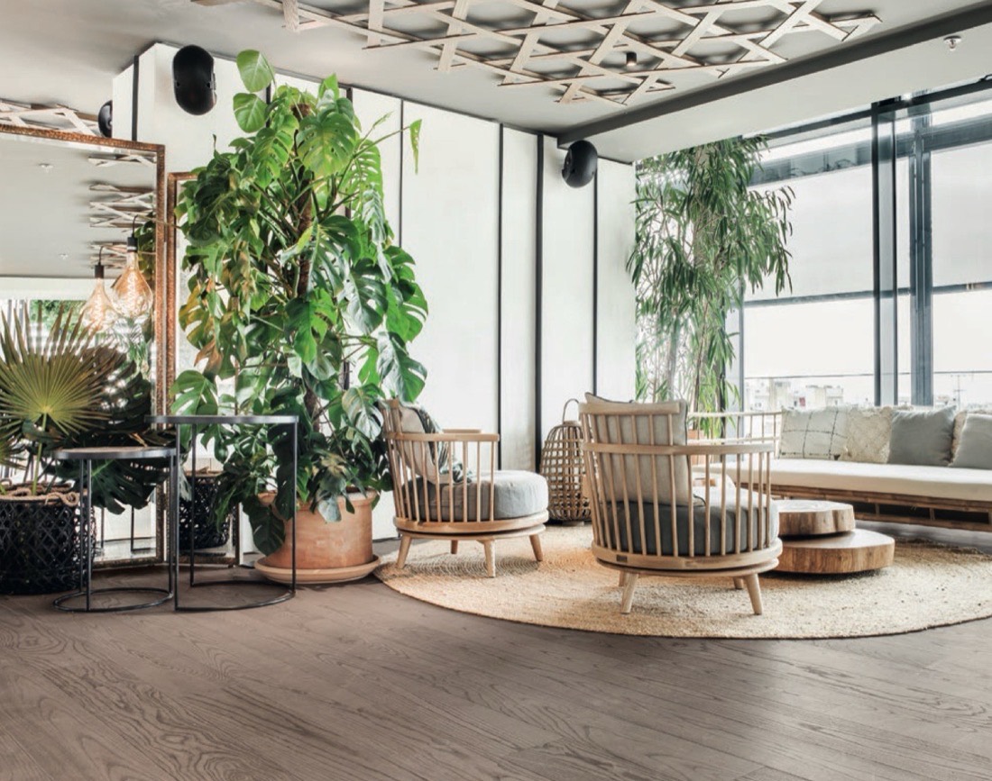 Soggiorno con pavimento in legno naturale Mafi, dal catalogo Biophilic